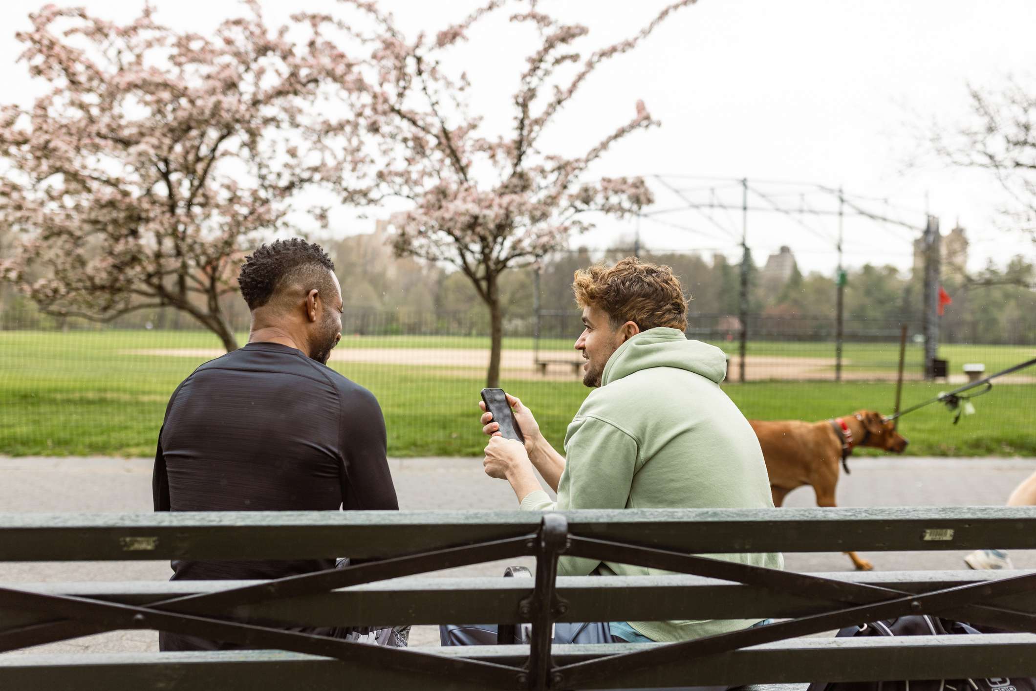 Men on Bench in a Park