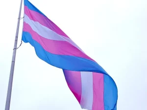 Trans Flag Waving in the Breeze