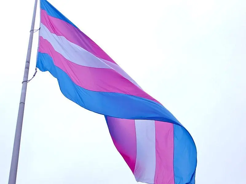 Trans Flag Waving in the Breeze